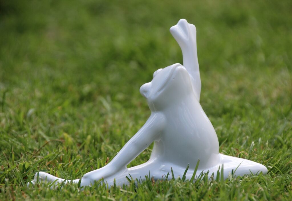 yoga, frog, gymnastics